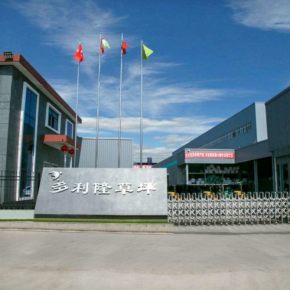 Çin Dorelom artificial grass group co,ltd. şirket Profili