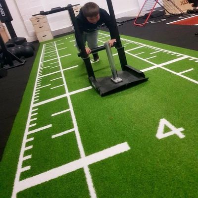 Yüksek yoğunluklı özelleştirilmiş logo boyutu spor salonları PE spor salonları için yapay çim zemin paspası