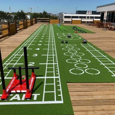 Yüksek yoğunluklı özelleştirilmiş logo boyutu spor salonları PE spor salonları için yapay çim zemin paspası