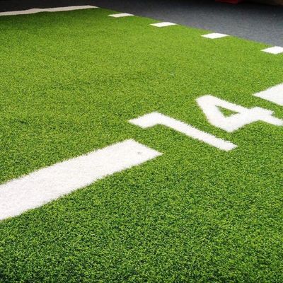 Yeşil 15mm Yığın Yüksekli Yapay Çim Çim Çarşafı Ticari Spor Salonu için Özel Zemin