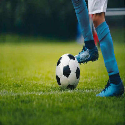 PE Yeşil Mini Futbol Sahası Futbol Alanı Zeminleri için Yapay Çim Futbol Sahası