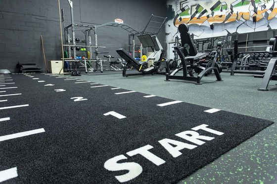 Dorelom Fitness Çim Halı Zemin Siyah Mavi Gökkuşağı Sentetik Sahte Çim Spor Salonu Fitnes İçin Yapay Çim
