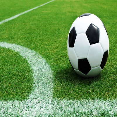 Futbol Stadyumu ve Spor Salonu Açık Hava Sporları için Doğal 50mm 60mm Dolu Futbol Çimleri