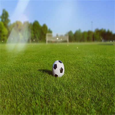 Futbol Stadyumu ve Spor Salonu Açık Hava Sporları için Doğal 50mm 60mm Dolu Futbol Çimleri