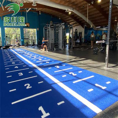 Çok fonksiyonlu Dorelom Çok fonksiyonlu Çim Yapay Renkli Spor Salonu Matı
