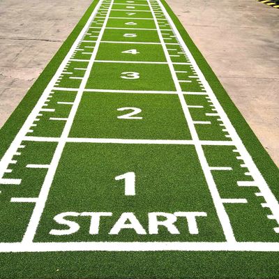 CE ISO9001 ISO14001 Sertifikalı Dorelom Eğitim Fitness Zeminleri için Atletizm Çim Yatakları
