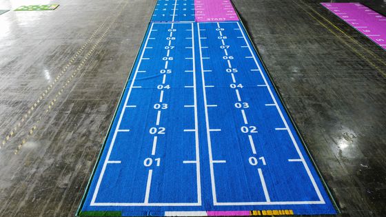 63000 dikiş/m2 yoğunluk Dorelom Kapalı spor salonu zemin çim çiftli PP NET SPU desteği ile