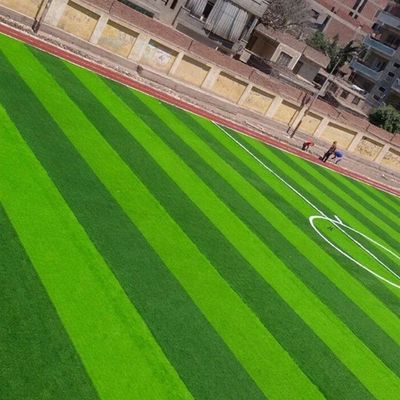 Futbol sahası W şekli iki renkli UV dayanıklı PE Monofilament yapay çim