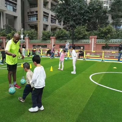 Dikiş Hızı 16.5/10cm 50mm Futbol Yapay Çim Futbol Alanı için Sentetik Çim