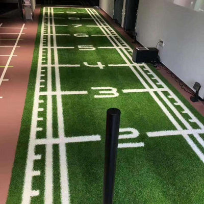 Spor Diğer Yapay Çimler Golf için Çimleri Futbol Alanları Spor Salonu Otlar Sentetik Çim