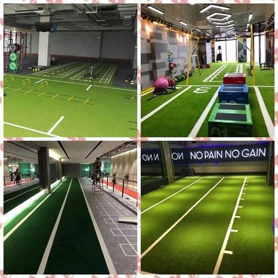 Spor Zemini Fitness Ölçeği Eğitim Spor Salonu için yapay çim