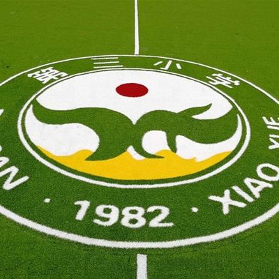 PE PP Destek Yapay Çim Logo Renk Deseni Sentetik Çim Mini Futbol Halısı